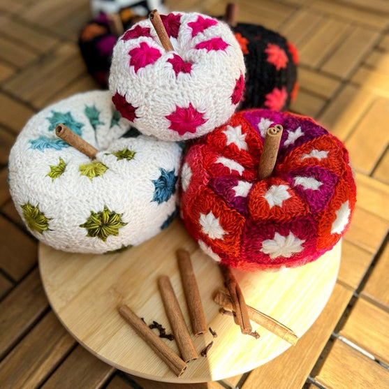 Autumn Spice Kürbis
4