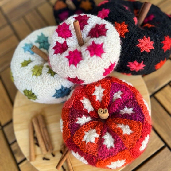 Autumn Spice Kürbis
5