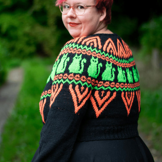 Scary Cat - Pullover
5