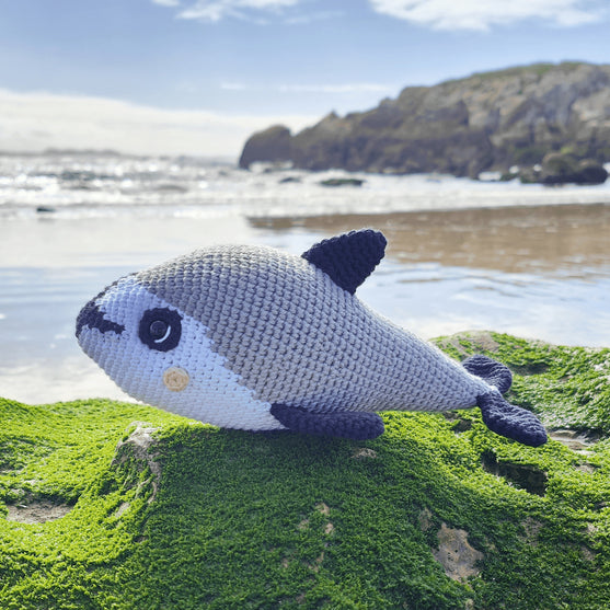 Vaquita-Schweinswal
2