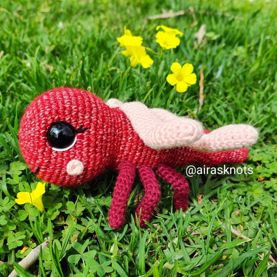 Lulabell, die Libelle
4