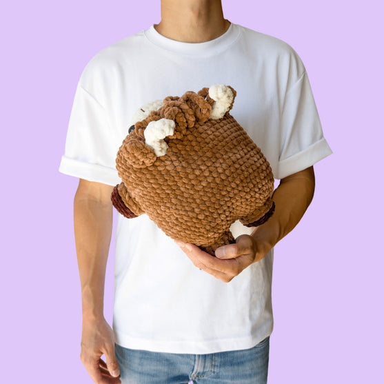 Großes Hochlandrind
2