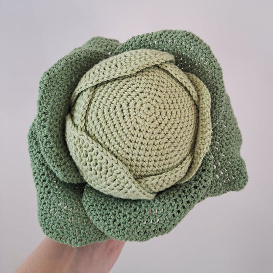 Gemüse - Kohl, Karotten und Zucchini
3