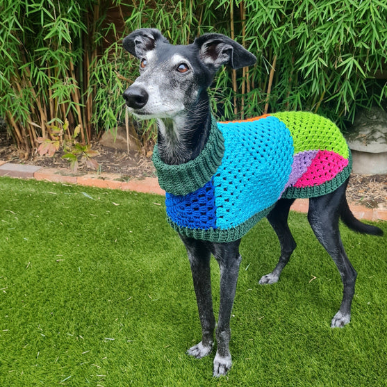 Wally - Hunde-Pullover
4