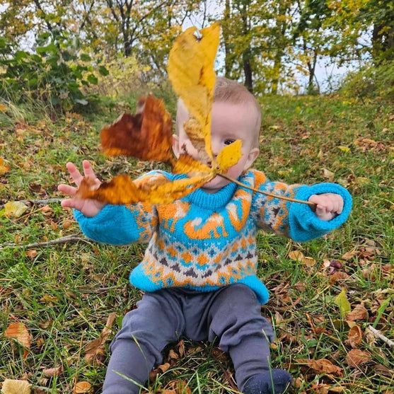 Happy Fox – Kinderpullover
2