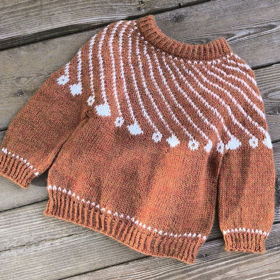 Shooting Star - Kinderpullover
4