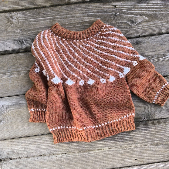 Shooting Star - Kinderpullover
3