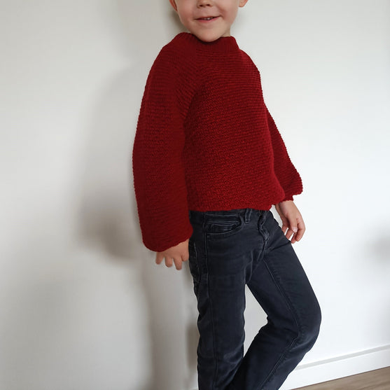 Hektors Sweater - Kinderpullover
6