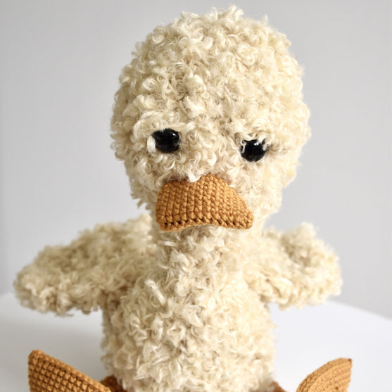 Pippin das Entenküken
2