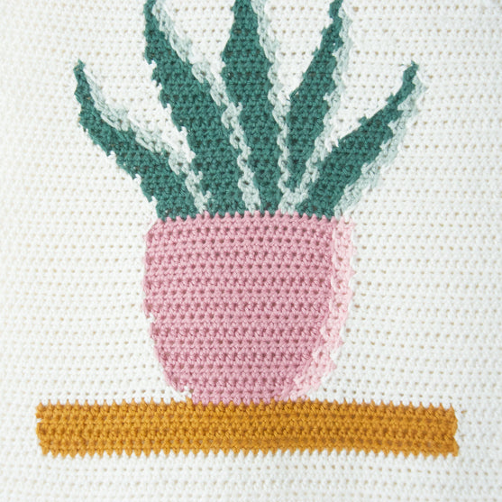 Snake Plant - Wandbehang
6