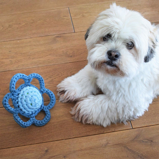 Blume - Hundespielzeug
2
