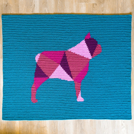 Französische Bulldogge - Decke
2