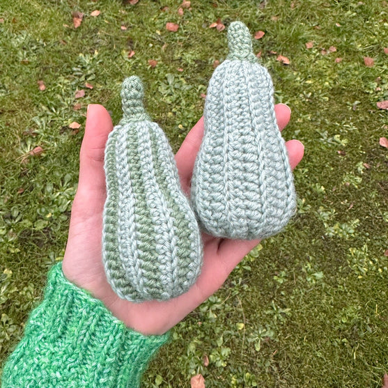 Dekorationskürbis - Länglich
6