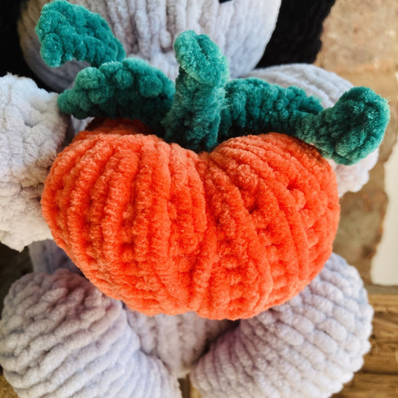 Pumpkin Bear
7