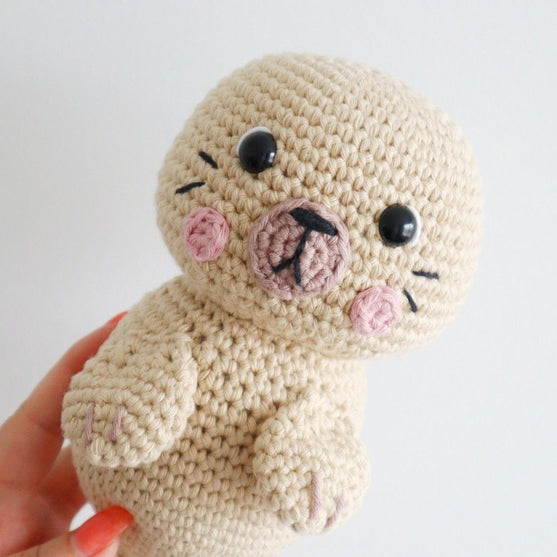 Sandy, der Seelöwe
5