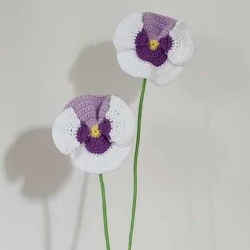 Pansy Flower
2