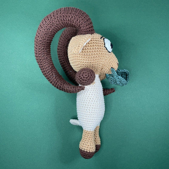 Widder - Sternzeichen
2