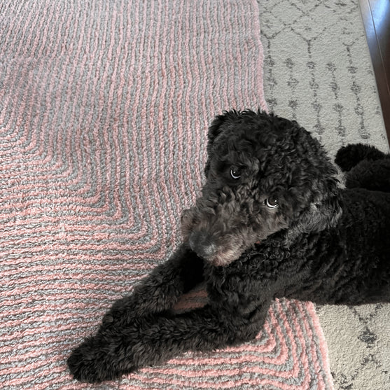 

Ruby’s Mitered Square Blanket - Decke
2