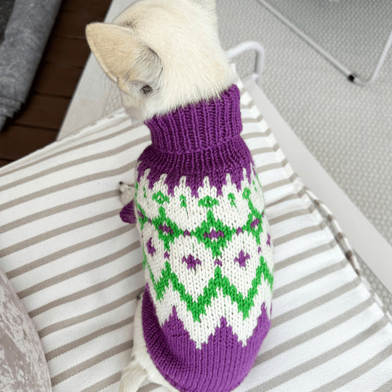 

Chihuahua - Hundepullover
2