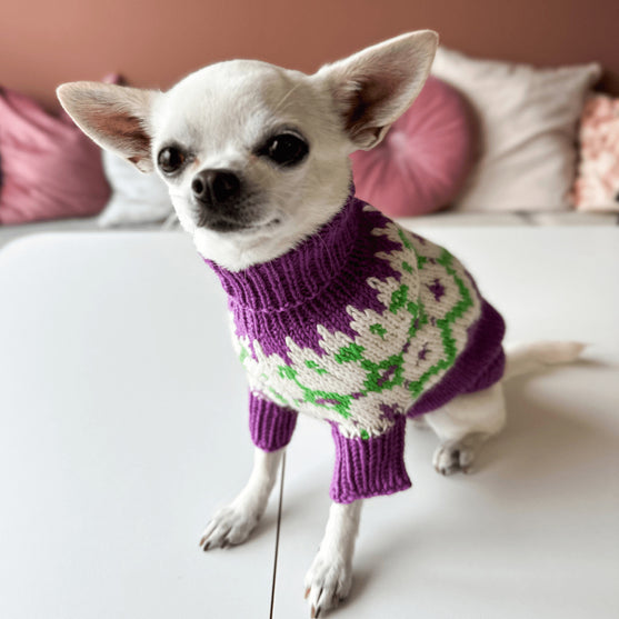 

Chihuahua - Hundepullover
4