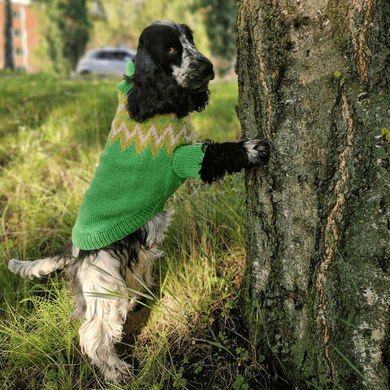 

Cocker Spaniel - Hundepullover
3