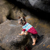 

Yorkshire Terrier - Hundepullover
2
