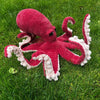 

Giant Pacific Octopus
1
