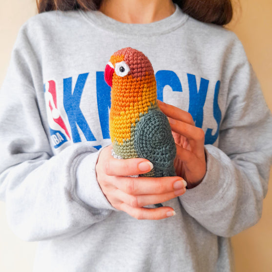 

Fischer’s Lovebird
4