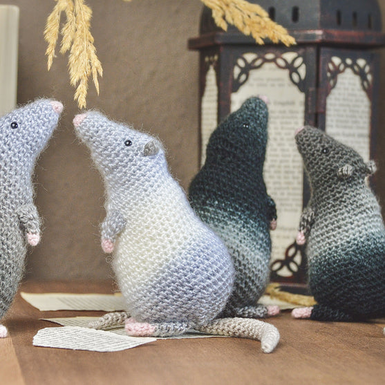 

Die Ratte Rüdiger
4