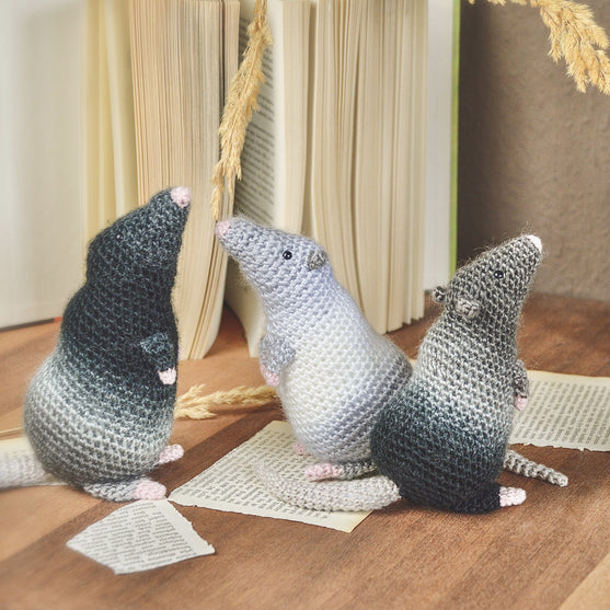 

Die Ratte Rüdiger
3