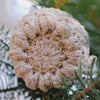

Hard Candy - Weihnachtsdekoration
3
