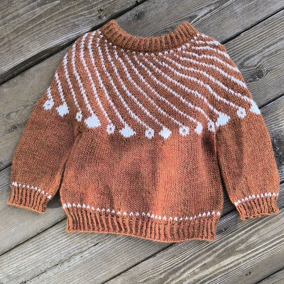 

Shooting Star - Kinderpullover
1
