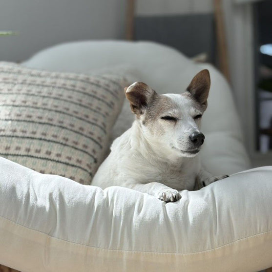 

Homebody - Kissenhülle
6