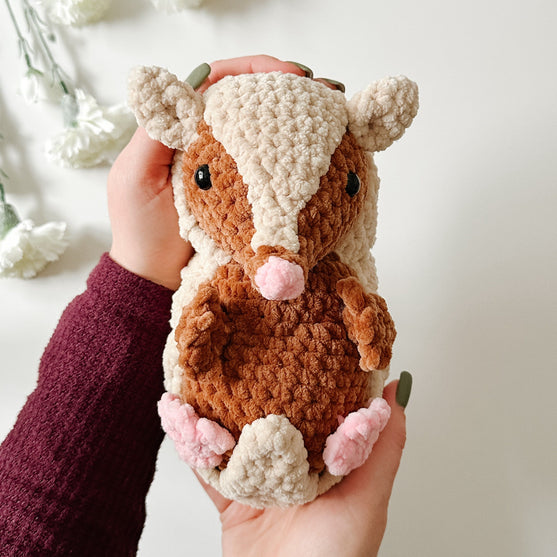 

Das Gürteltier Armando
2