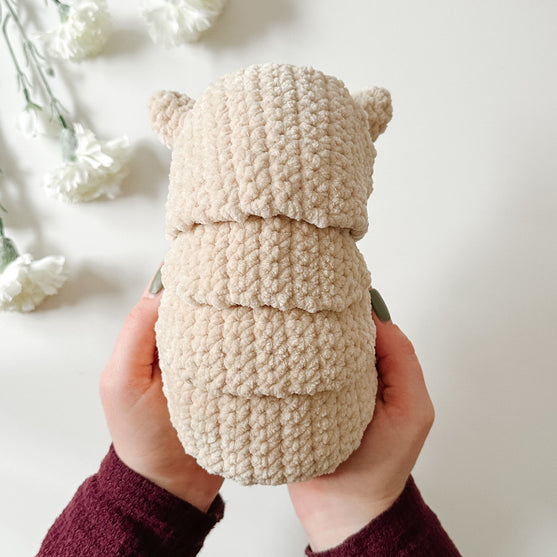 

Das Gürteltier Armando
3