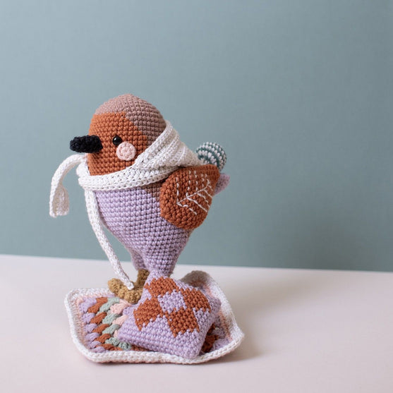 

3. Sonntag im Advent - Amigurumi - Grayson Robin
6