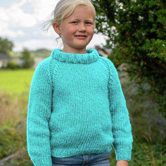 114-06C Ask Pullover