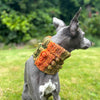 

Doggy Bobble - Schalkragen
3