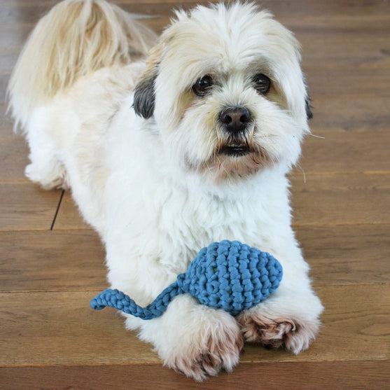 

Haletudse - Hundespielzeug
1