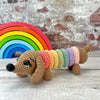 

Ringo der Regenbogenhund
1