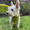 

Cuddly Wrap - Hundehalstuch
4