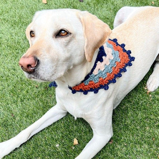 

Lola’s Bandana - Hunde Bandana
5