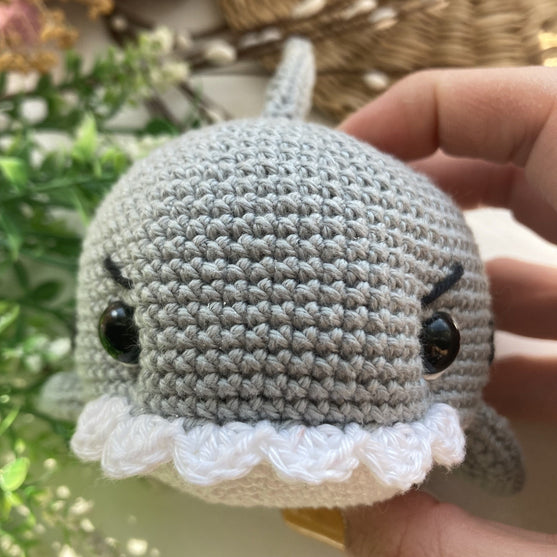 

Tommy der kleine Hai
3