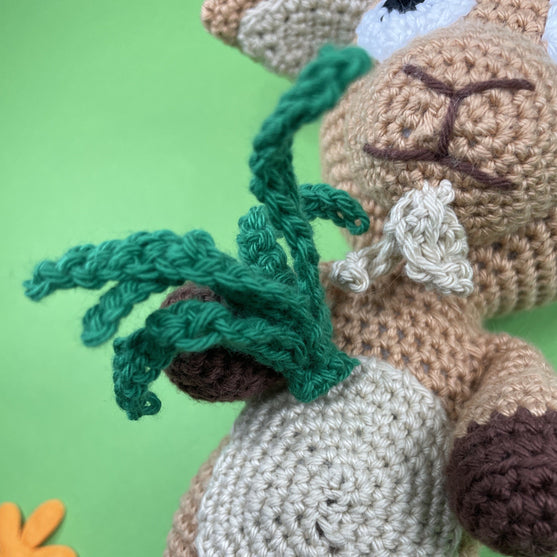 

Steinbock - Sternzeichen
6