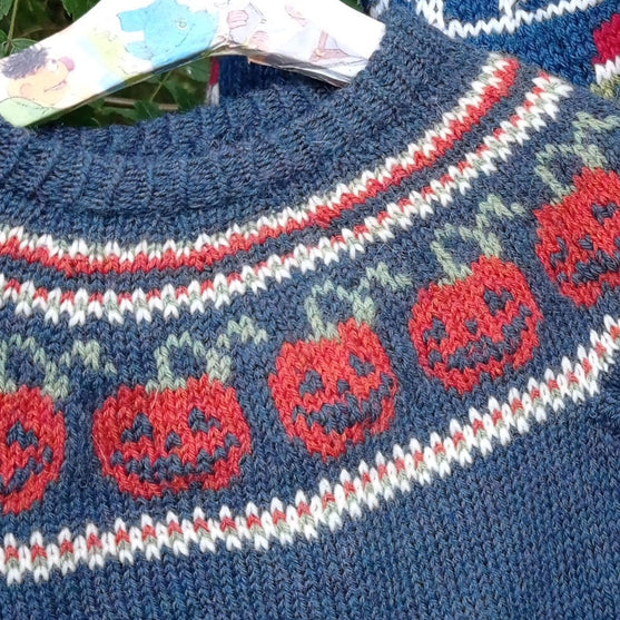

Pumpkins - Kinderpullover
2