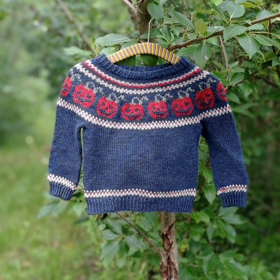 

Pumpkins - Kinderpullover
4