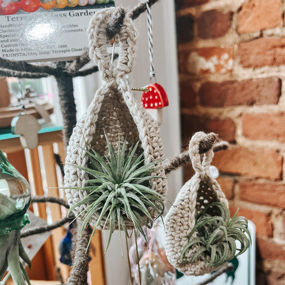 

Spring in Bloom - Luftpflanzen-Ampel
3