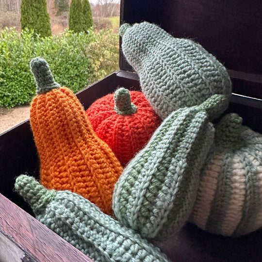 Dekorationskürbis - Länglich