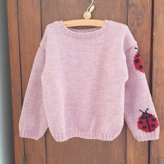 

Ladybug - Kinderpullover
1