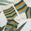 

Mimidae - Socken
2